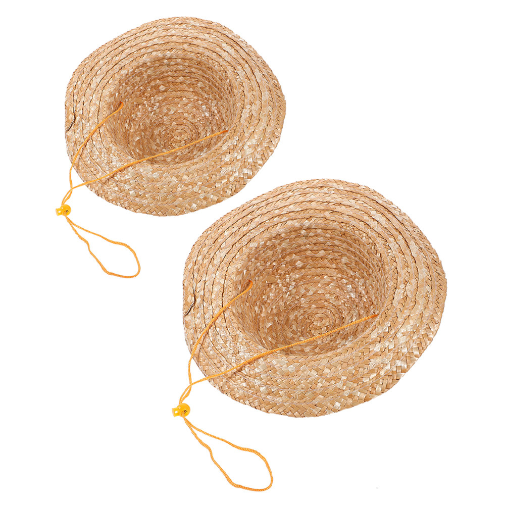 Sun Hat Wide Brim - 2 Buah Topi Jerami Anak Warna
