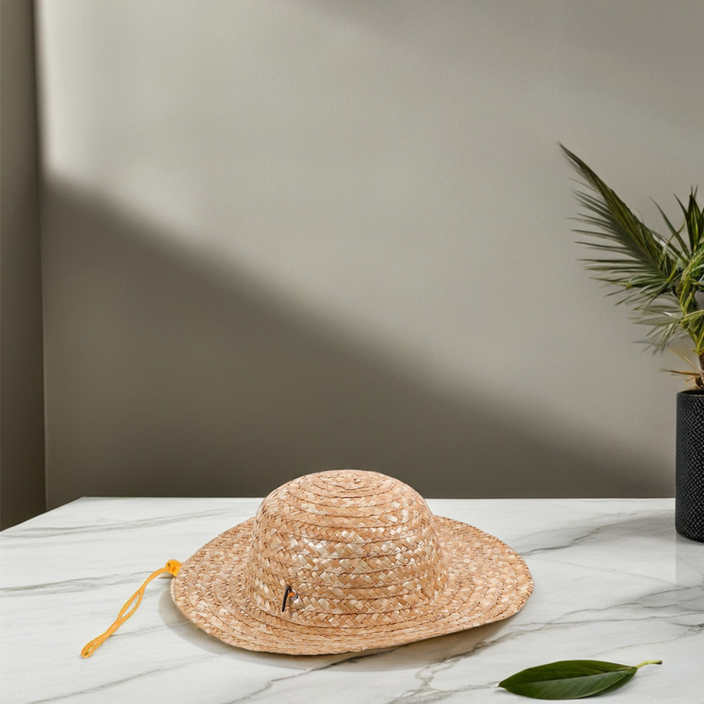 2 Buah Topi Jerami Anak Warna  - Sun Hat Wide Brim ulasan dan harga